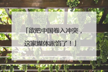 欲把中国卷入冲突，这家媒体露馅了！