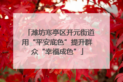 潍坊寒亭区开元街道用“平安底色”提升群众“幸福成色”