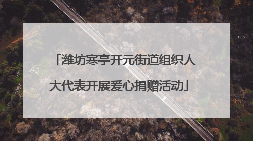 潍坊寒亭开元街道组织人大代表开展爱心捐赠活动