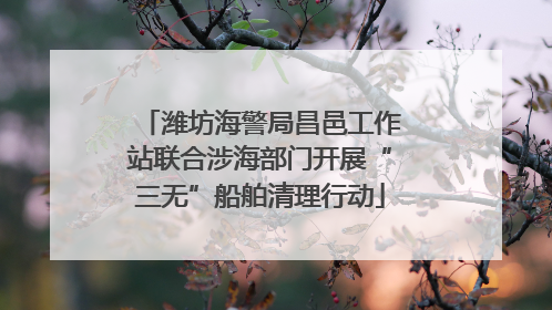潍坊海警局昌邑工作站联合涉海部门开展“三无”船舶清理行动