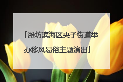 潍坊滨海区央子街道举办移风易俗主题演出