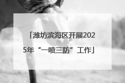潍坊滨海区开展2025年“一喷三防”工作