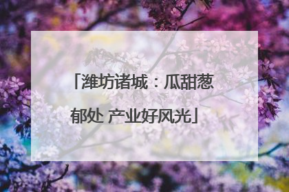 潍坊诸城：瓜甜葱郁处 产业好风光