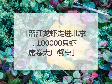 潜江龙虾走进北京，100000只虾席卷大厂餐桌