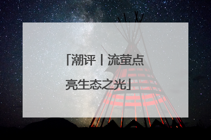 潮评丨流萤点亮生态之光