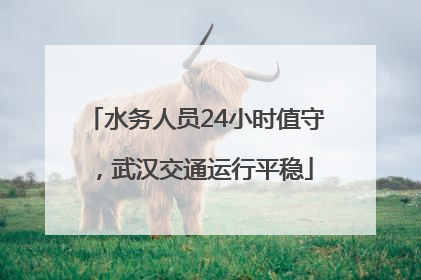水务人员24小时值守，武汉交通运行平稳