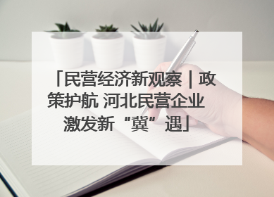 民营经济新观察｜政策护航 河北民营企业激发新“冀”遇