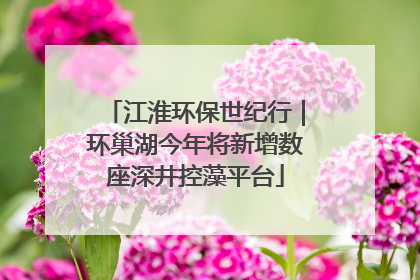 江淮环保世纪行｜环巢湖今年将新增数座深井控藻平台