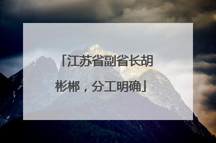 江苏省副省长胡彬郴，分工明确