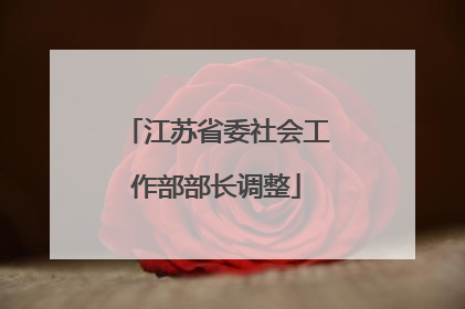江苏省委社会工作部部长调整