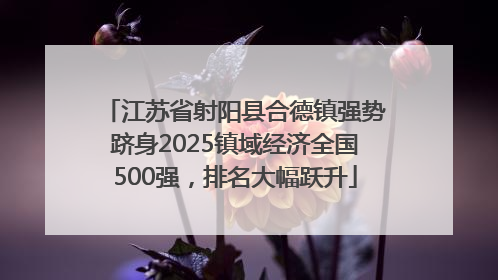 江苏省射阳县合德镇强势跻身2025镇域经济全国500强，排名大幅跃升