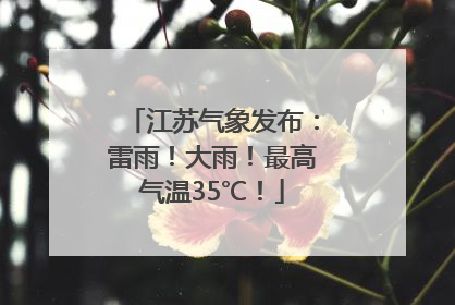 江苏气象发布：雷雨！大雨！最高气温35℃！