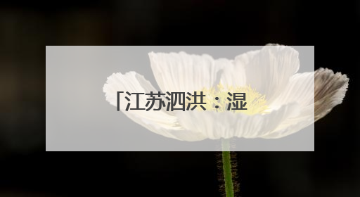 江苏泗洪：湿地白鹭育雏忙