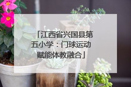 江西省兴国县第五小学：门球运动赋能体教融合