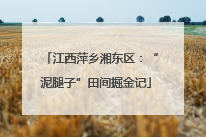 江西萍乡湘东区：“泥腿子”田间掘金记