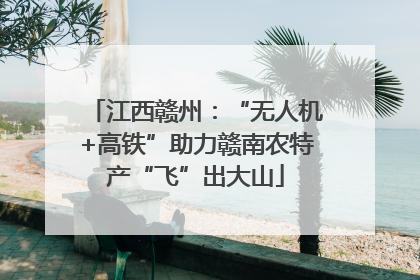 江西赣州：“无人机+高铁”助力赣南农特产“飞”出大山
