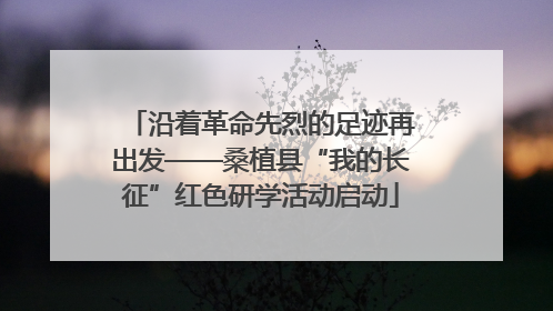 沿着革命先烈的足迹再出发——桑植县“我的长征”红色研学活动启动