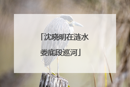 沈晓明在涟水娄底段巡河