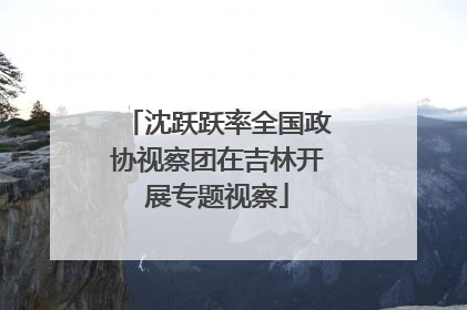 沈跃跃率全国政协视察团在吉林开展专题视察