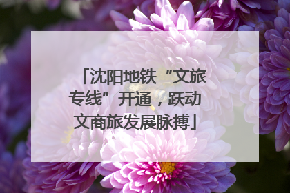 沈阳地铁“文旅专线”开通，跃动文商旅发展脉搏