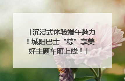 沉浸式体验端午魅力！城阳巴士“粽”享美好主题车厢上线！