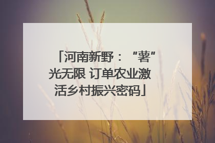 河南新野：“薯”光无限 订单农业激活乡村振兴密码
