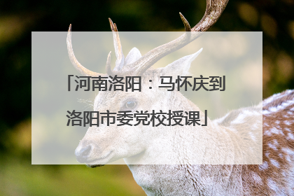 河南洛阳：马怀庆到洛阳市委党校授课
