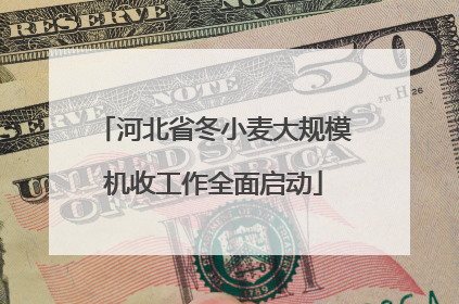 河北省冬小麦大规模机收工作全面启动