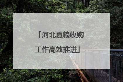 河北夏粮收购工作高效推进