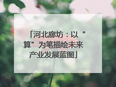 河北廊坊：以“算”为笔描绘未来产业发展蓝图