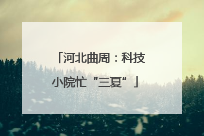 河北曲周：科技小院忙“三夏”