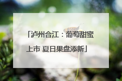 泸州合江：葡萄甜蜜上市 夏日果盘添新