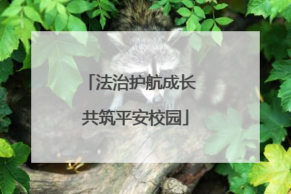 法治护航成长 共筑平安校园