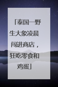 泰国一野生大象凌晨闯进商店，狂吃零食和鸡蛋