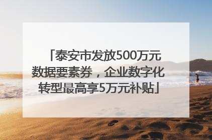泰安市发放500万元数据要素券，企业数字化转型最高享5万元补贴