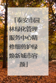 泰安市园林绿化管理服务中心精修细剪护绿焕新城市容颜