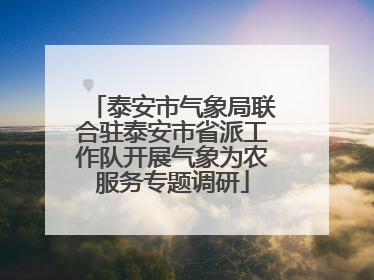 泰安市气象局联合驻泰安市省派工作队开展气象为农服务专题调研