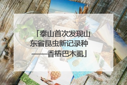 泰山首次发现山东省昆虫新记录种——香椿巴木虱