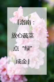 洛南：放心蔬菜点“绿”成金