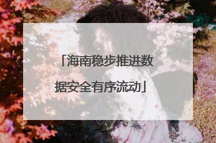 海南稳步推进数据安全有序流动