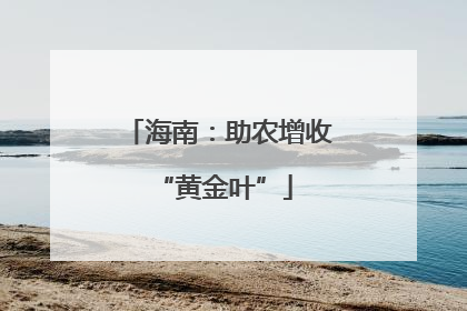 海南：助农增收 “黄金叶”