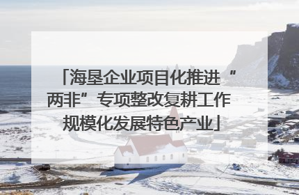 海垦企业项目化推进“两非”专项整改复耕工作 规模化发展特色产业