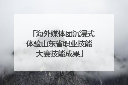 海外媒体团沉浸式体验山东省职业技能大赛技能成果