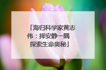 海归科学家黄志伟：择安静一隅 探索生命奥秘