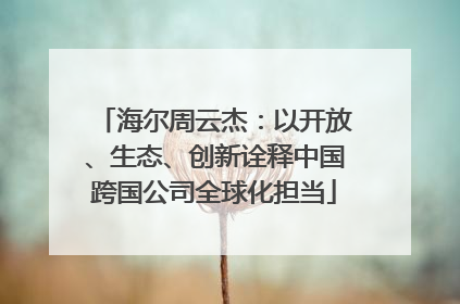 海尔周云杰：以开放、生态、创新诠释中国跨国公司全球化担当