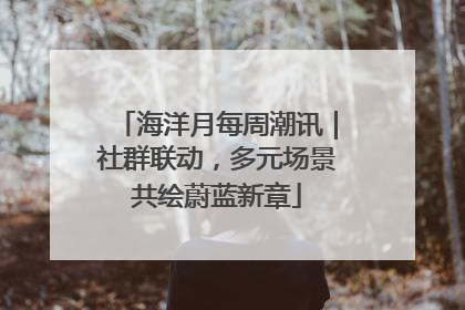 海洋月每周潮讯｜社群联动，多元场景共绘蔚蓝新章