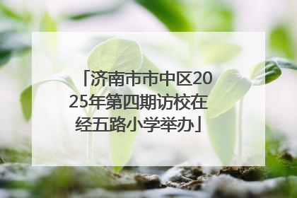 济南市市中区2025年第四期访校在经五路小学举办