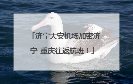 济宁大安机场加密济宁-重庆往返航班！