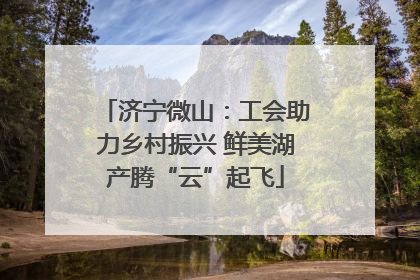 济宁微山：工会助力乡村振兴 鲜美湖产腾“云”起飞