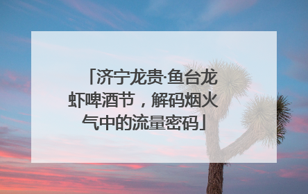济宁龙贵·鱼台龙虾啤酒节，解码烟火气中的流量密码